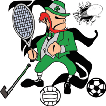 irish-sports